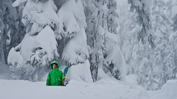 KimmyFasani_Blotto_main