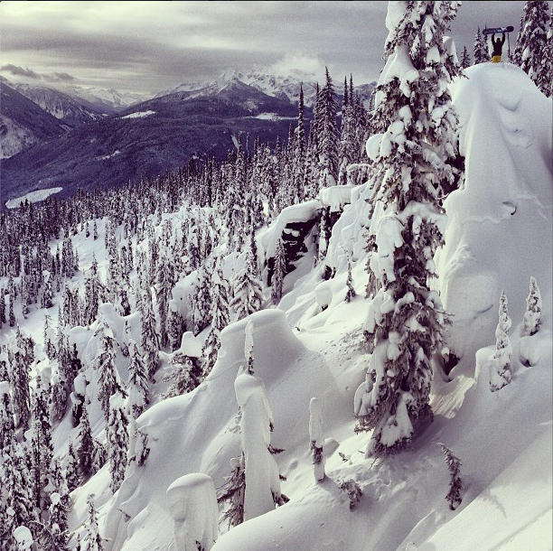 travisrice_outoforder_tenmonths_We-Shook-The-Bear-Today.Great-trip-@Libtechnologies-@eaglepassheliskiing-@fotomaxizoomdweebie-@wedrinkwater-@ejackshreds-shakethatbear
