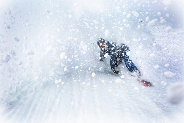powder-alert-snowbird-01272016