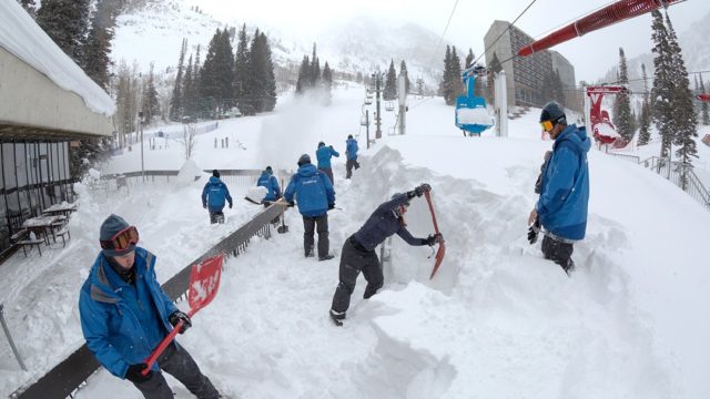 snowbird-powder-alert-snowboarding-for-post