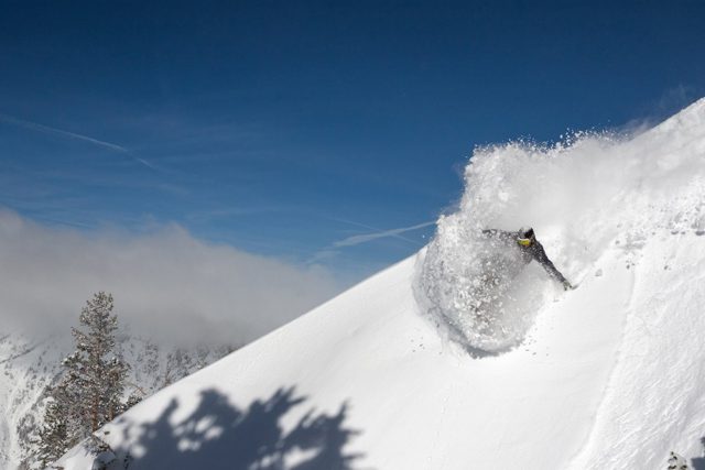 snowbird-pow-alert-2-17