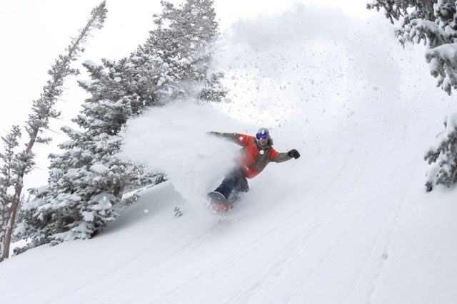 snowbird-pow-alert