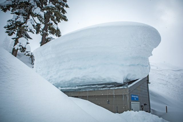 whistler-blackcomb-pow-alert-for-web