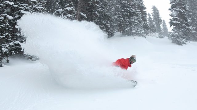 snowbird-matt-crawley