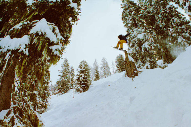 mike-skiba-web-2-shapeshftr-ipp