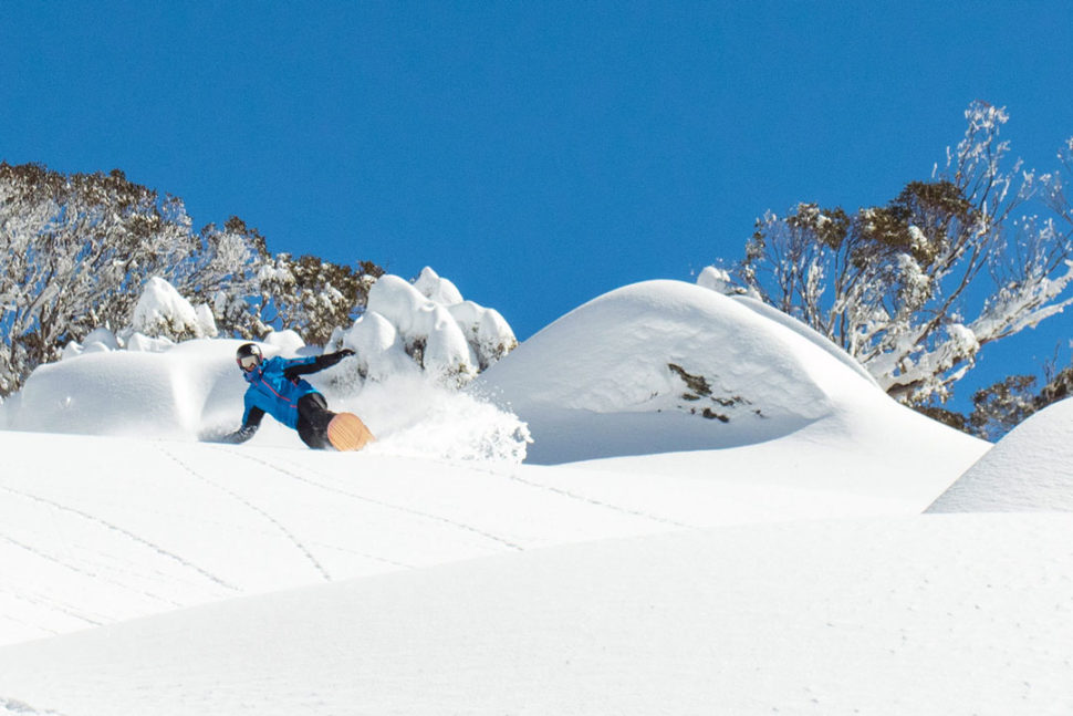 boardowlrd-blizzard-of-ox-web