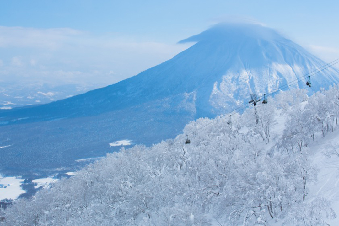 niseko_web
