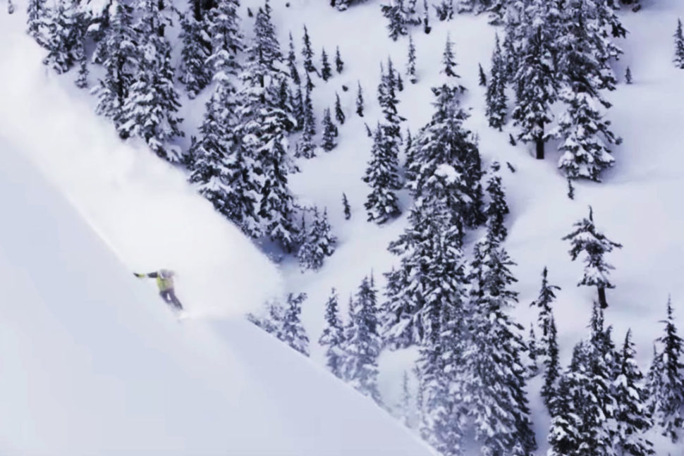 shred-bots-foreign-affair-ryan-tiene-web