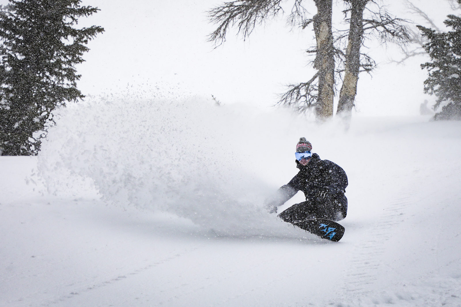 Funny Moments in Pokémon Legends: Z-A - TV Tropes, image size:1600x1067