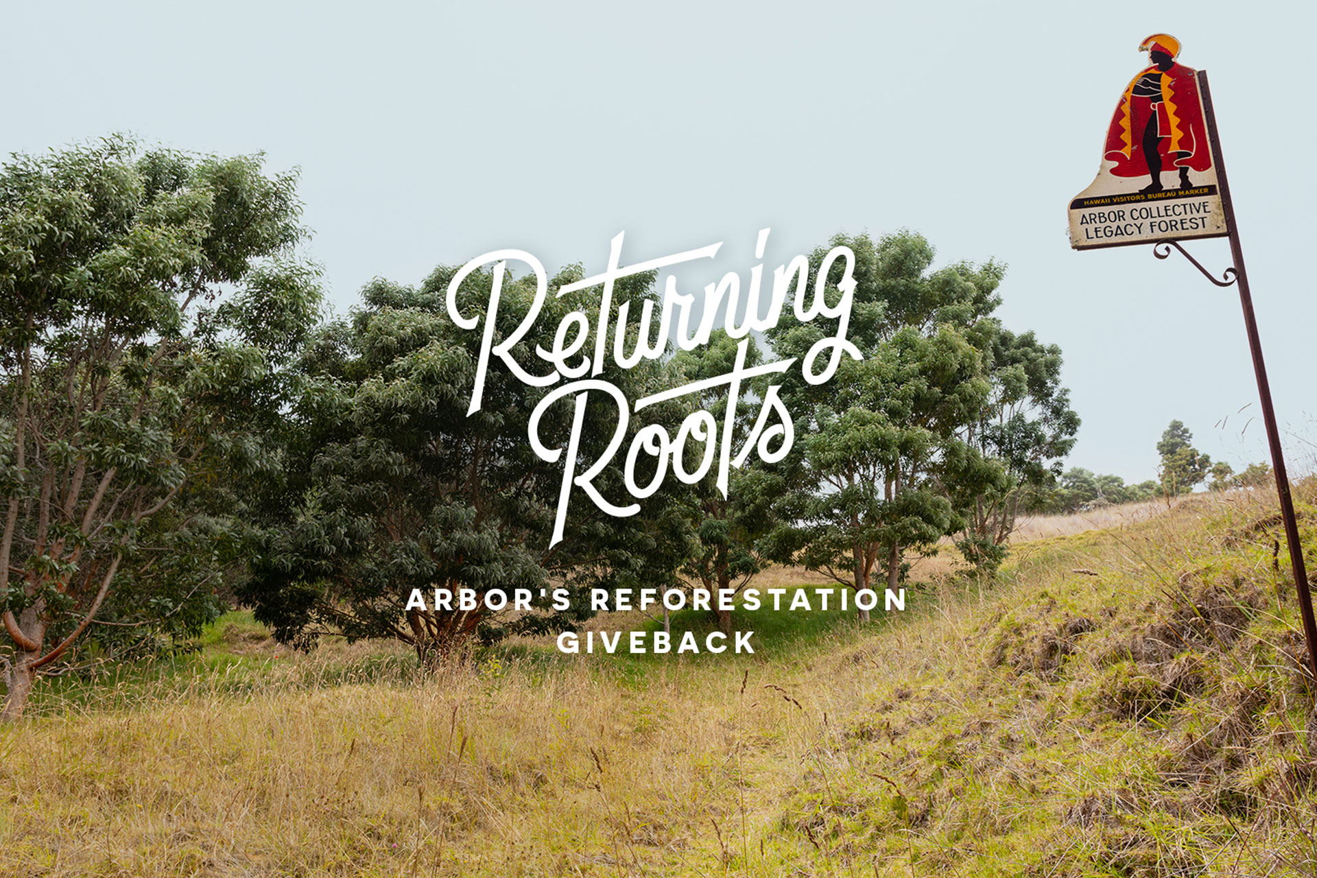 Returning Roots – Arbor’s Reforestation Giveback – Snowboard Magazine
