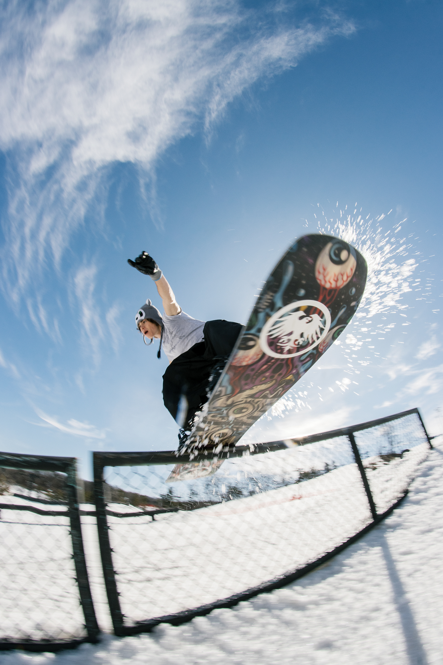 Platium Pick 2026: Never Summer Llama – Snowboard Magazine